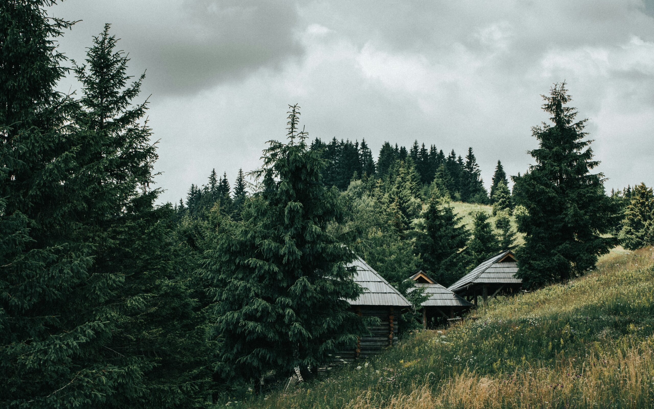 Hello World Featured Image